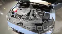 2021 Hyundai Veloster