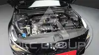 2021 Hyundai Avante