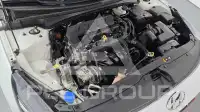 2021 Hyundai Avante