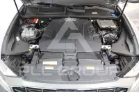 2021 Audi Q8