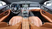 2022 Mercedes Benz CLS-Class
