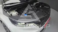 2022 KIA Carnival