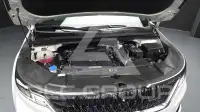 2022 KIA Carnival