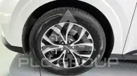 2022 KIA Carnival