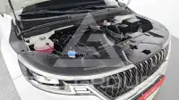 2022 KIA Carnival