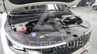 2022 KIA Carnival