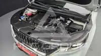 2022 KIA Carnival