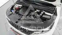 2022 KIA Carnival
