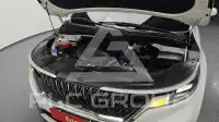 2022 KIA Carnival