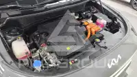 2022 KIA Niro