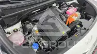 2022 KIA Niro