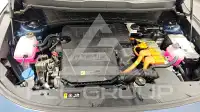 2022 KIA Niro