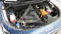 2022 KIA Niro