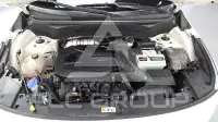 2022 KIA Celltos