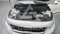 2022 KIA Celltos