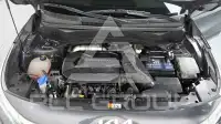 2022 KIA Celltos
