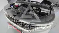 2022 KIA Carnival
