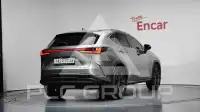 2023 Lexus NX