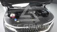 2023 KIA Carnival