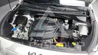 2023 KIA Niro
