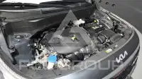 2023 KIA Celltos