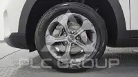 2023 KIA Celltos