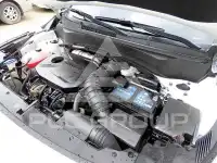 2023 KIA Celltos