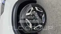 2023 KIA Celltos