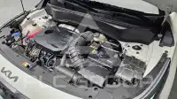 2023 KIA Celltos
