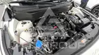 2023 KIA Celltos