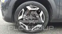 2023 KIA Celltos