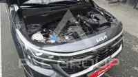 2023 KIA Celltos