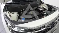 2023 KIA Celltos
