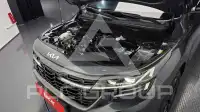 2023 KIA Celltos