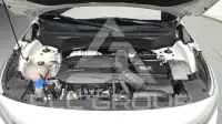 2023 KIA Celltos