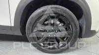 2023 KIA Celltos