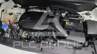 2023 KIA Celltos