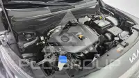 2023 KIA Celltos