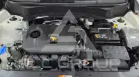 2023 KIA Seltos
