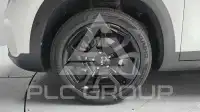2023 KIA Celltos