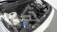 2023 KIA Celltos