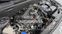 2023 KIA Celltos