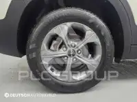2023 KIA Celltos