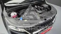 2023 KIA Carnival
