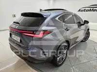 2024 Lexus NX
