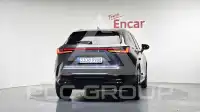 2024 Lexus NX