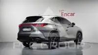 2024 Lexus NX
