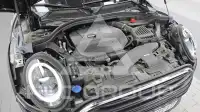 2024 Mini Cooper