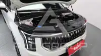 2024 KIA Carnival