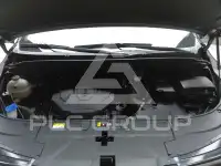 2024 KIA Carnival